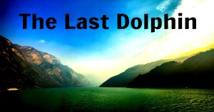 The Last Dolphin - We Are Wildness