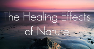 the healing effects of nature we are wildness kate wilson fb