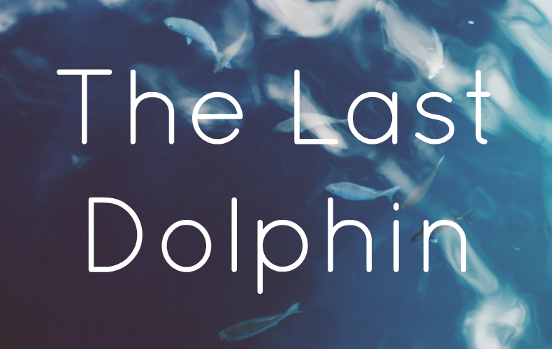 The Last Dolphin