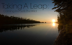 Taking A Leap Coming Home to the Wild Featured | We Are Wildness