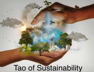 tao of sustainability