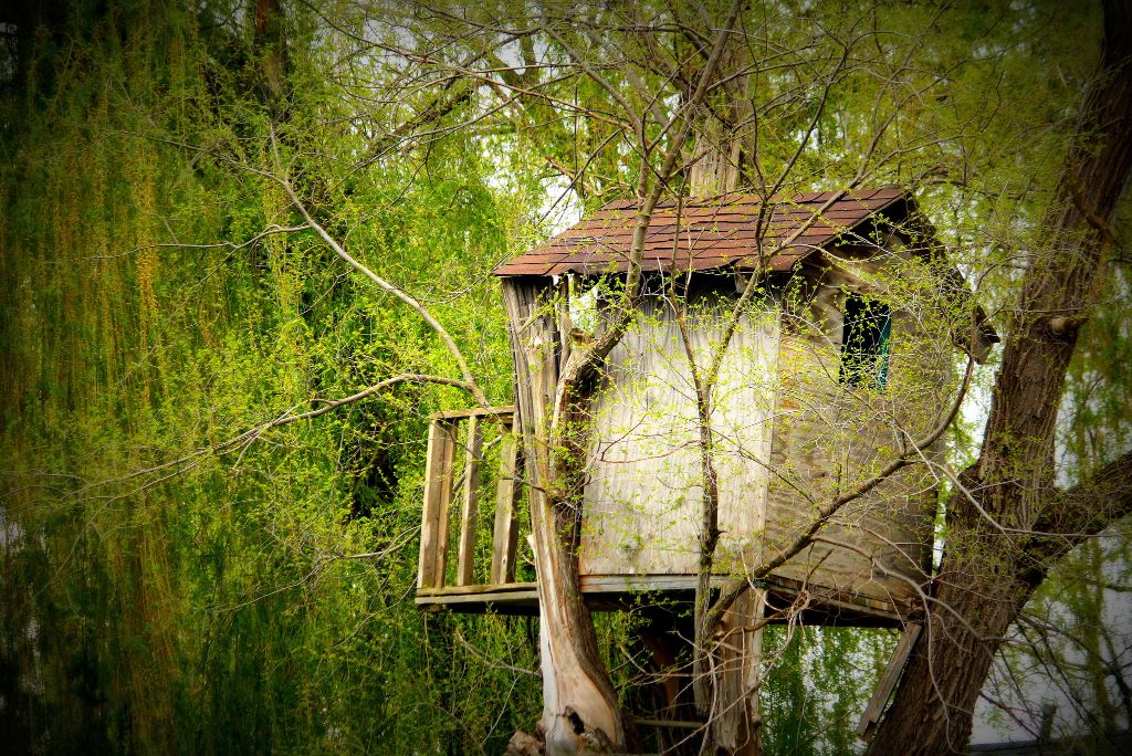 Build Your Own Eco-Friendly Treehouse