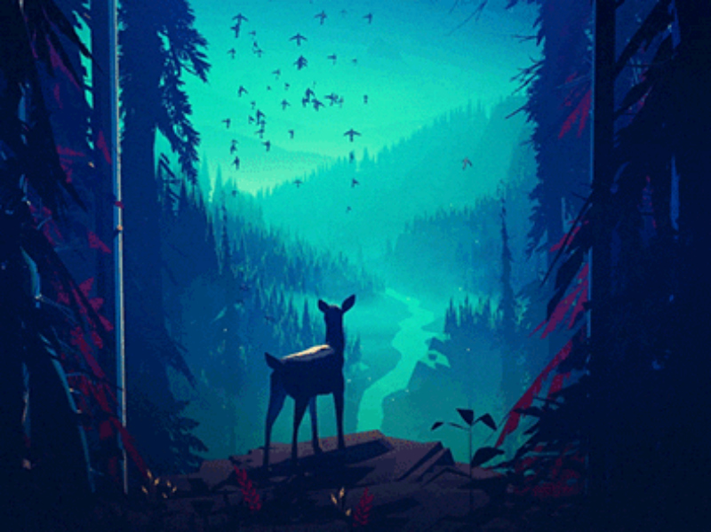 You Will Love These Beautiful Animated Nature GIFs by Mikael Gustafsson -  We Are Wildness