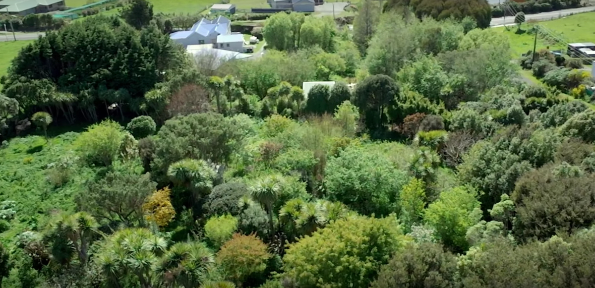 Couple Buys Lot and Transforms it into a Food Forest Paradise