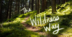 the wildness way