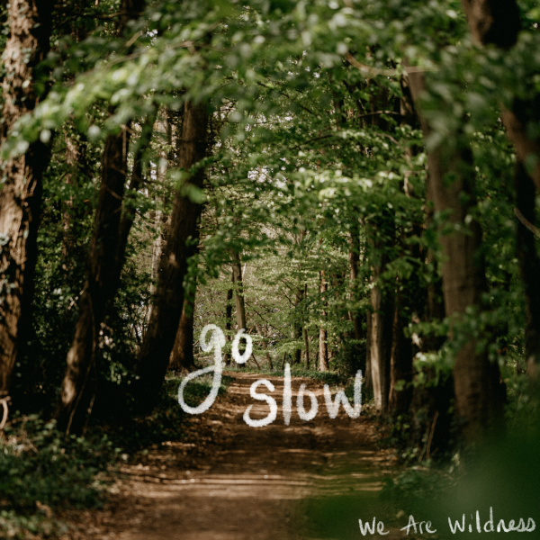 go_slow_-_We_are_wildness 2